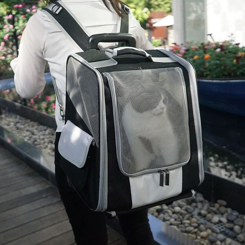 cat carrier