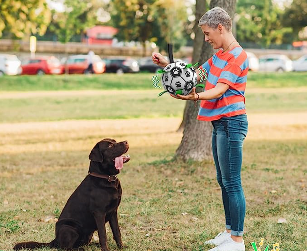 dog soccer ball