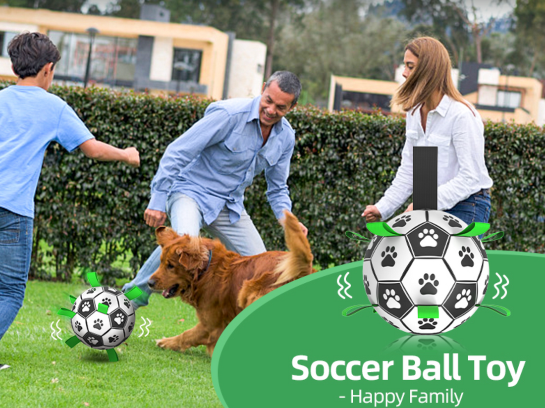 dog soccer ball toy