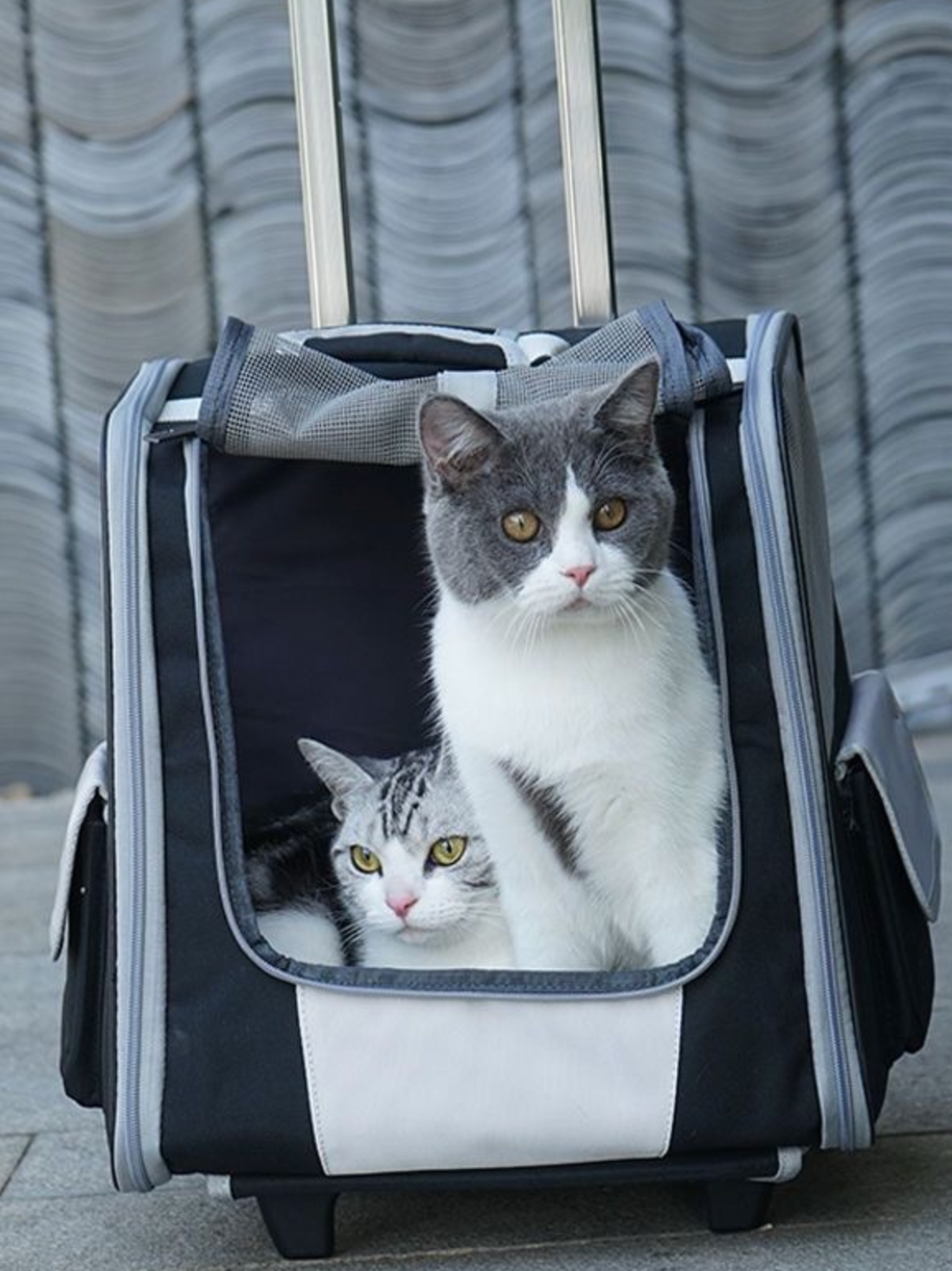 Cat Carrier Backpack