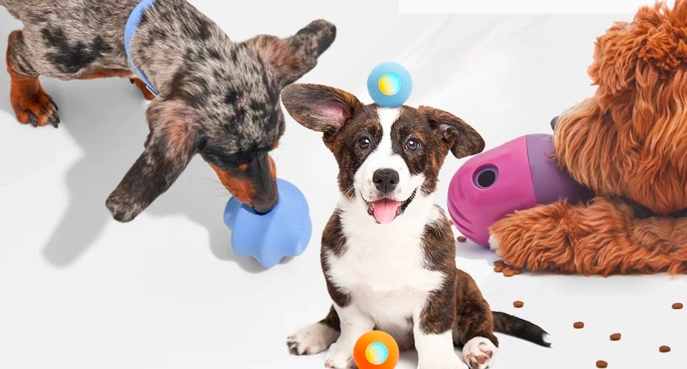 Best and Safest Dog Toys