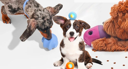 Best and Safest Dog Toys