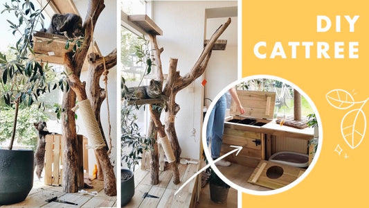 Crafting a DIY Cat Tree: A Step-by-Step Guide for Feline Enthusiasts