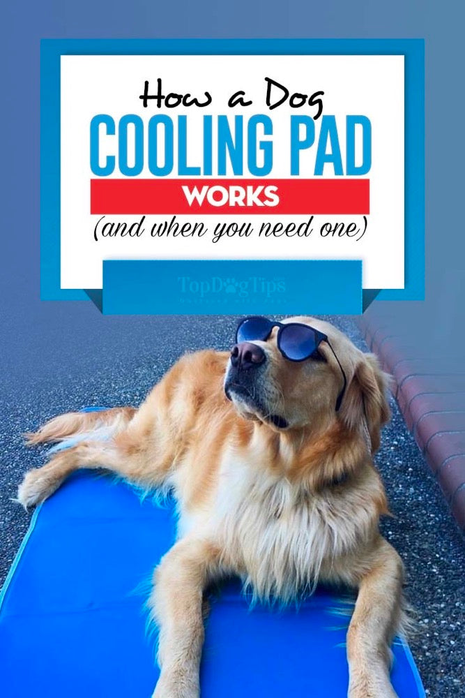 cooling pad