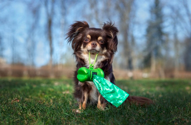 dog poop bags