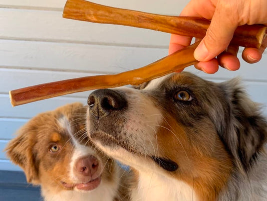 The Top 10 Dog Treats