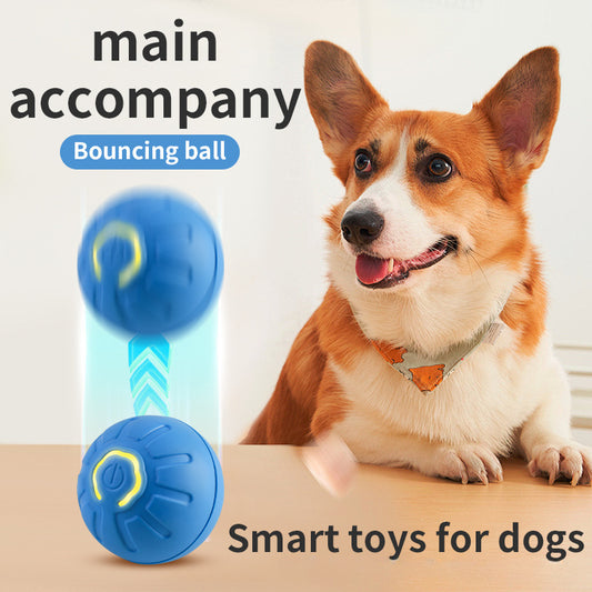 iFurcare Smart Interactive Dog Toy LED Light Bouncing Ball Active Rolling Ball for Dog/Puppy/Small/Medium Dogs and Cats USB Rechargeable
