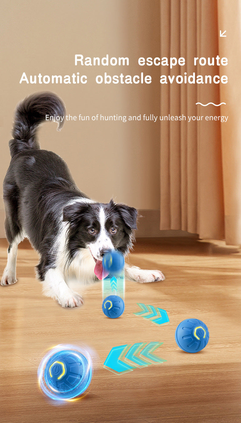 iFurcare Smart Interactive Dog Toy LED Light Bouncing Ball Active Rolling Ball for Dog/Puppy/Small/Medium Dogs and Cats USB Rechargeable