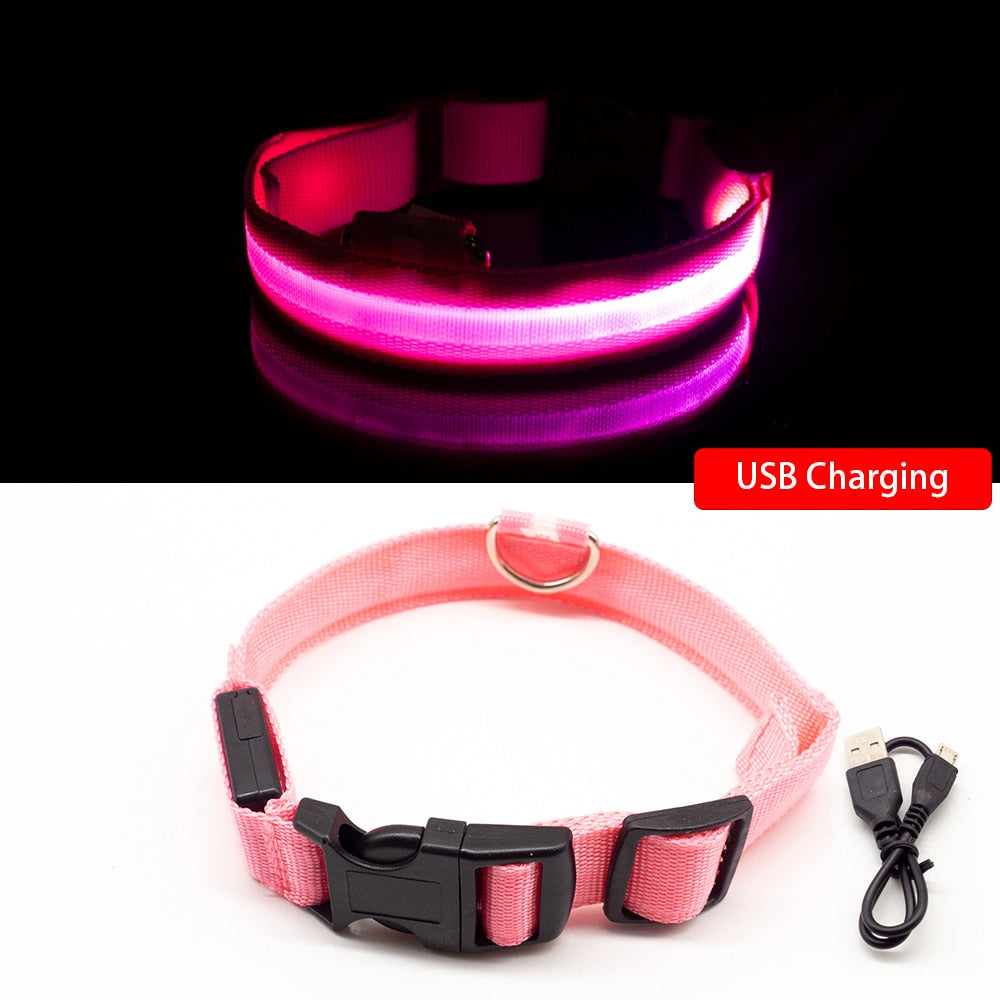 iFurcare USB Charging/Battery replacement Led Dog Collar Anti-Lost Collar For Dogs Puppies Dog Collars Leads LED Supplies Pet Products