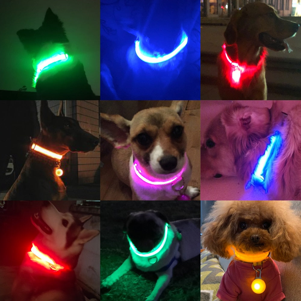 iFurcare USB Charging/Battery replacement Led Dog Collar Anti-Lost Collar For Dogs Puppies Dog Collars Leads LED Supplies Pet Products