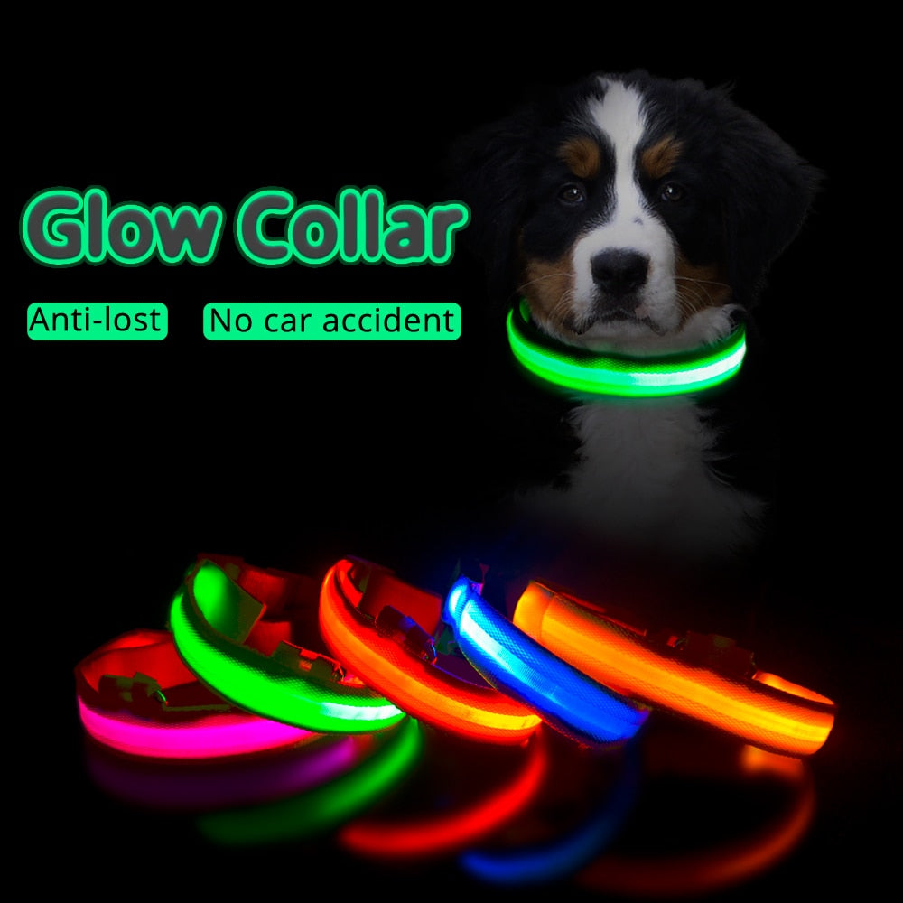 Led Dog Collar Anti-Lost Collar